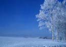 winteroutside